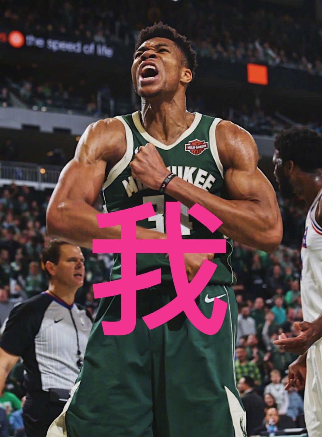 字母哥迎来三赛季出色发挥，老鹰观众热烈欢呼！